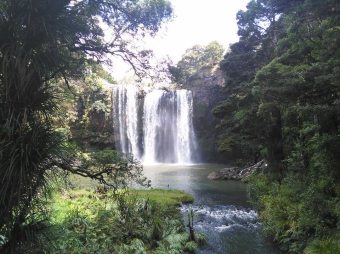 Whangarei Falls1